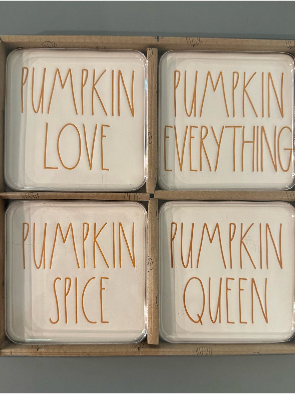 Rae Dunn Festive Fall Pumpkin Ceramic Coaster Set of 4 - NIB